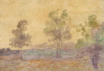 Paisaje al atardecer